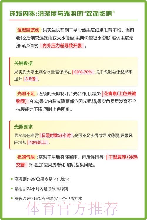 世界杯盘口苹果全解析