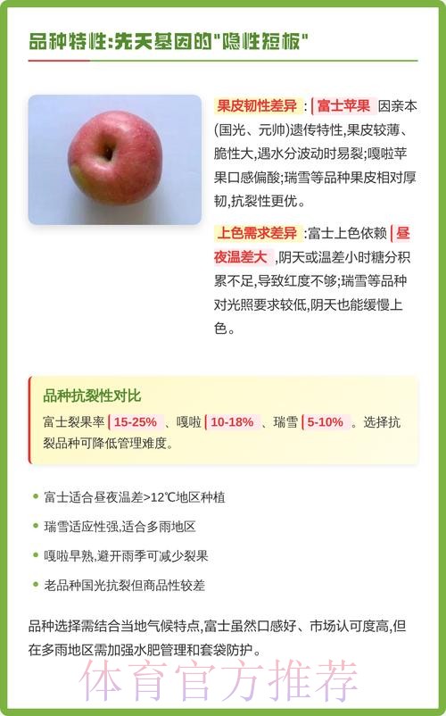 世界杯盘口苹果全解析