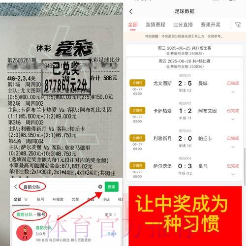 世界杯竞猜平台：理性下注，避免盲目跟风